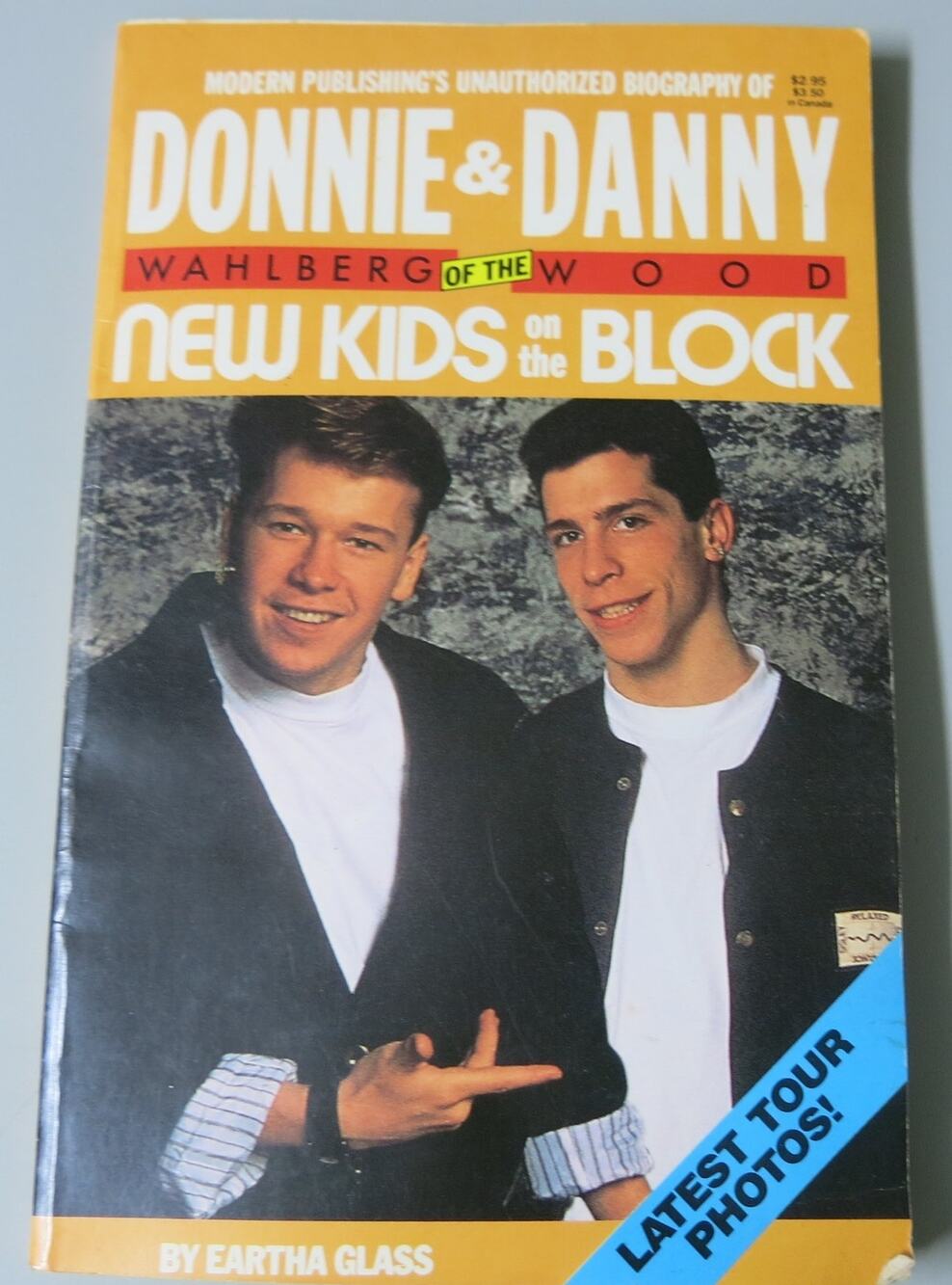 New Kids on the Block Biography Book Donnie Danny 1990 Boy Band Music NKOTB